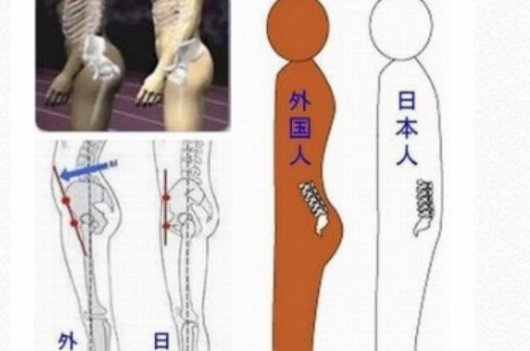 骨格